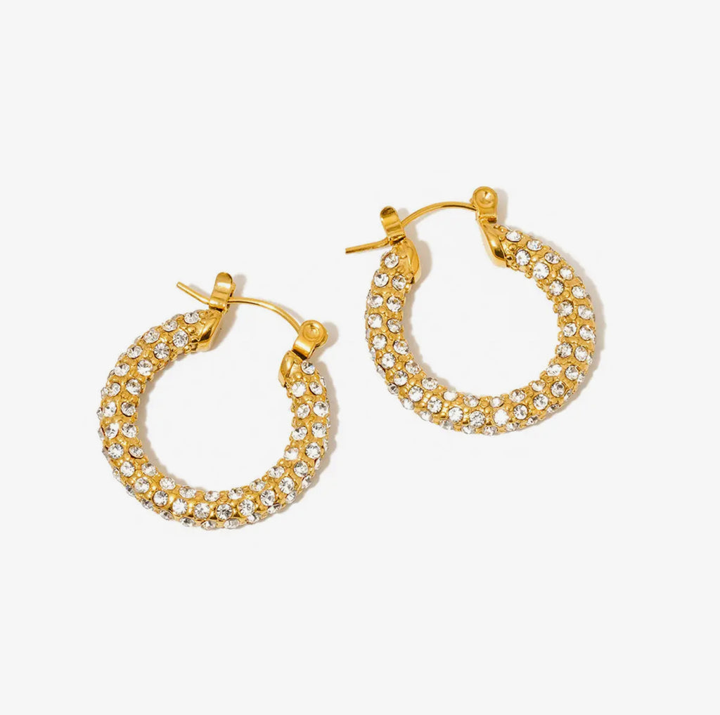 ✨ Lizzie Waterproof Hoops
