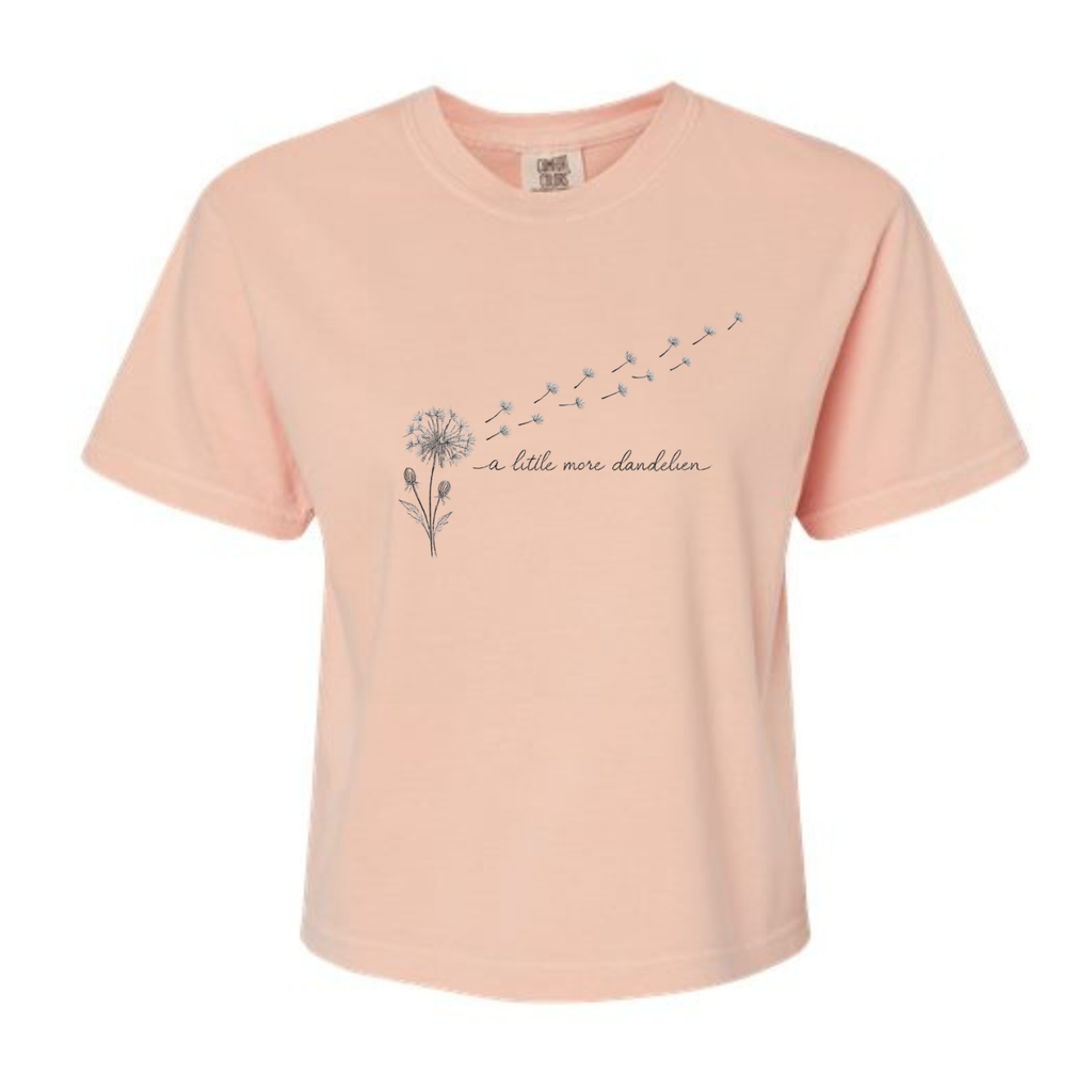 A Little More Dandelion | Country | Nashville | Western | CC